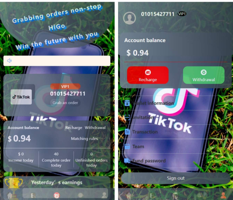 图片[2]-新版本海外tiktok多语言抢单系统源码/带文本搭建教程